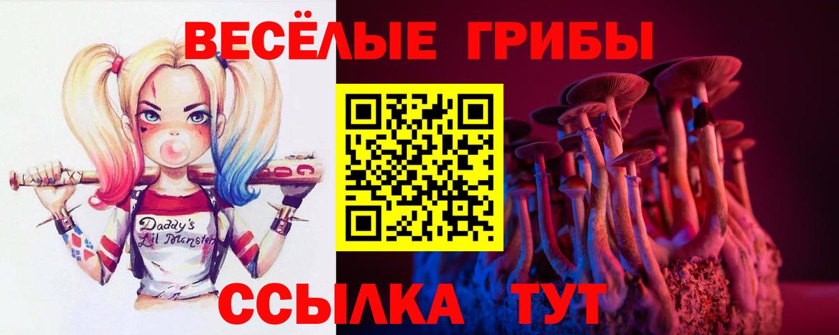 Советский  Галлюциногенные грибы Magic Shrooms  Галлюциногенные грибы Psilocybine cubensis  Вход с VPN 